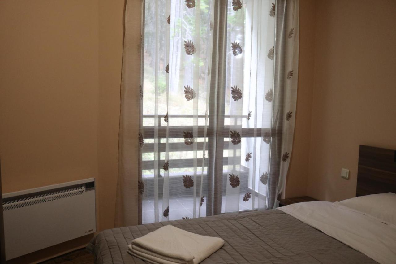 Winter Аpartments Gerovi Apartman Pamporovo Kültér fotó