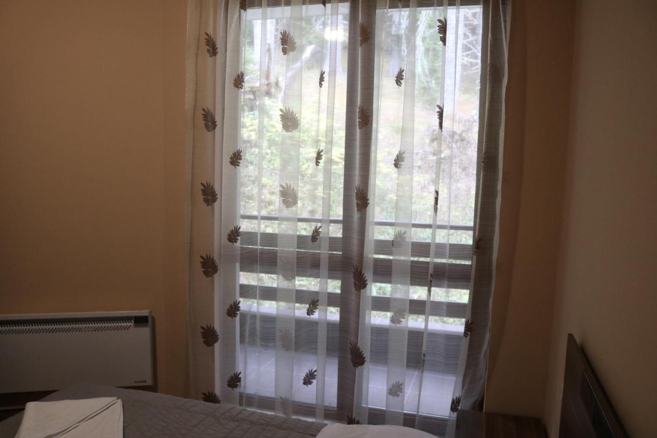 Winter Аpartments Gerovi Apartman Pamporovo Kültér fotó